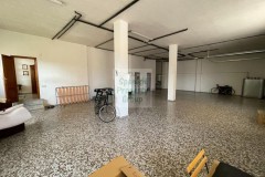 Foto7