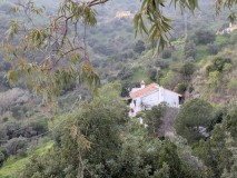 Foto3