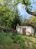 Foto6