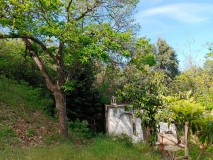 Foto7