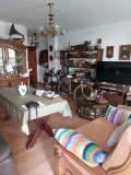 Foto6
