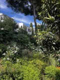 Foto13