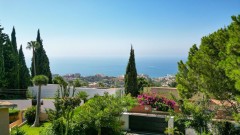 Foto4