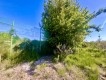 Foto10