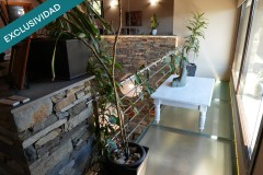 Foto41