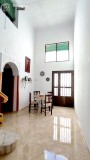 Foto8