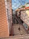 Foto56