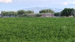Foto4