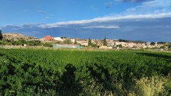 Foto3
