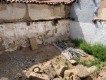 Foto6