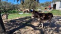 Foto4