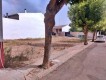 Foto5