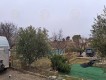 Foto6