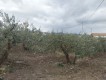 Foto8