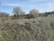 Foto6