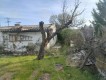Foto3