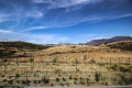 Foto45