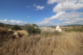 Foto1