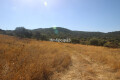 Foto12