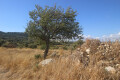 Foto13