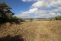 Foto4