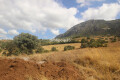 Foto8