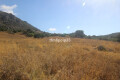 Foto9