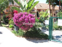 Foto14