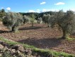 Foto8