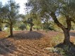 Foto9