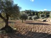 Foto10