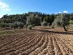 Foto12