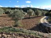 Foto15