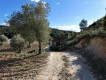 Foto16