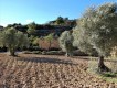 Foto19
