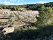 Foto29
