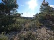 Foto30