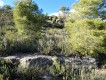 Foto31