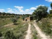 Foto4