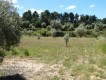Foto5