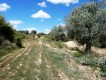 Foto15