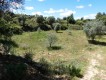 Foto20