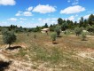 Foto30
