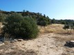 Foto3