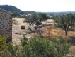 Foto6