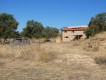 Foto43