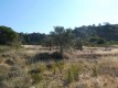 Foto45