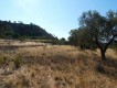 Foto46