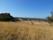Foto47