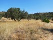 Foto48